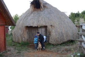 Wohnen in einer Ruka bei den Mapuche